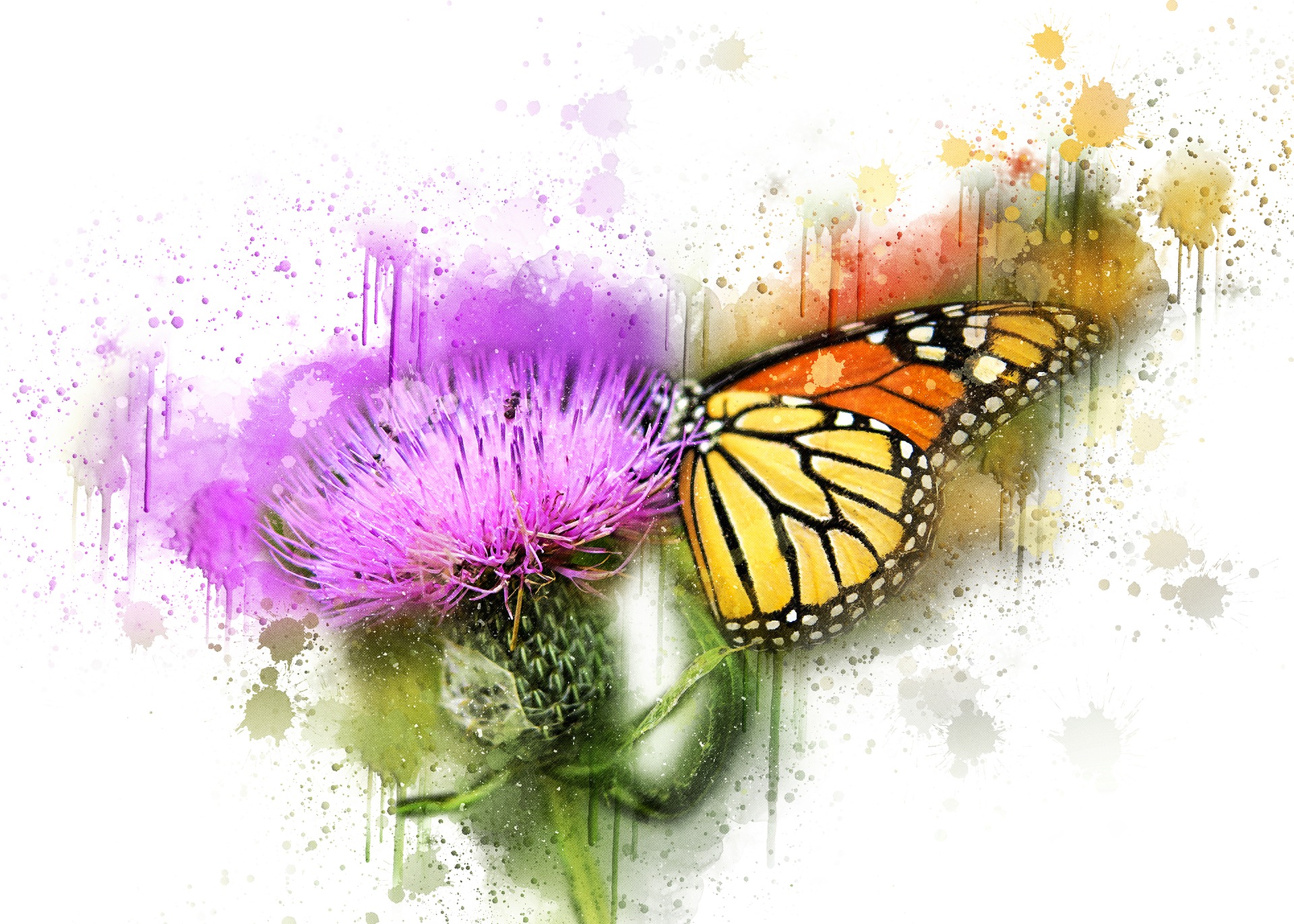 Image by ArtTower from Pixabay